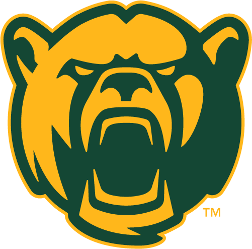 Baylor Bears 2005-2018 Alternate Logo 09 iron on paper